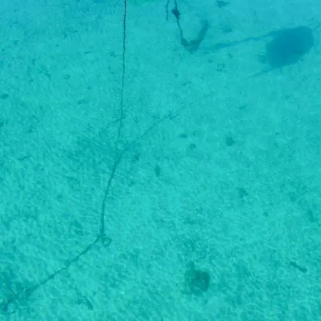 Casa vacanze Pebble Bay Paradise House Vela Luka